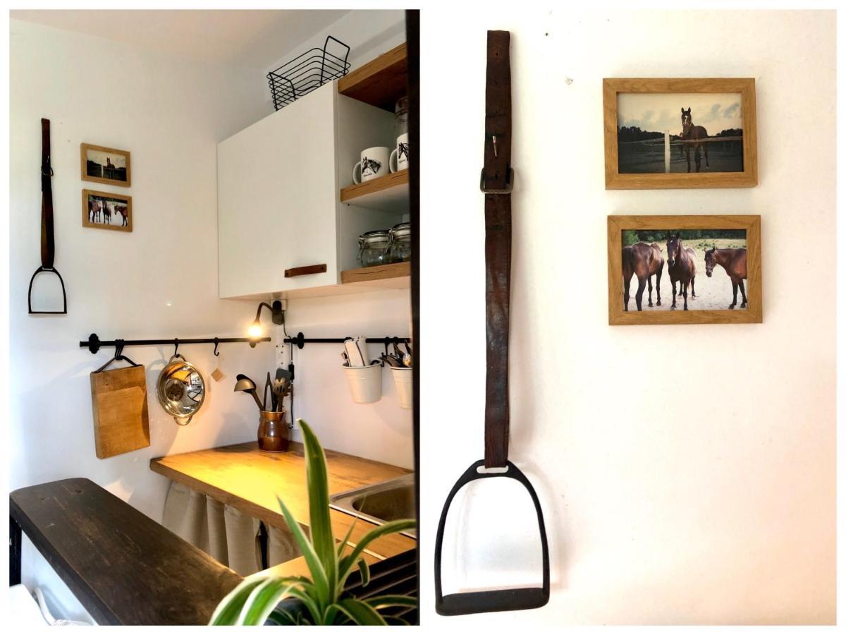 Apartamenty Lajkonik Dąbrówno Exteriör bild