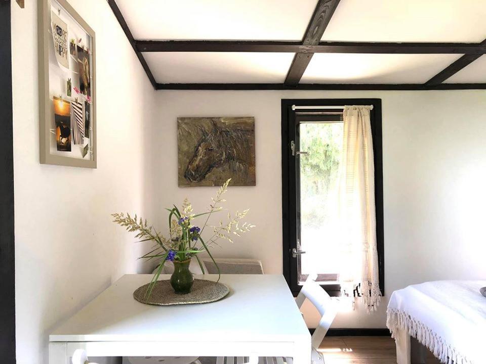 Apartamenty Lajkonik Dąbrówno Exteriör bild