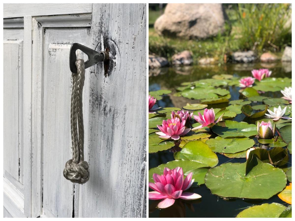 Apartamenty Lajkonik Dąbrówno Exteriör bild